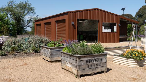 image of raised garden beds and a shed