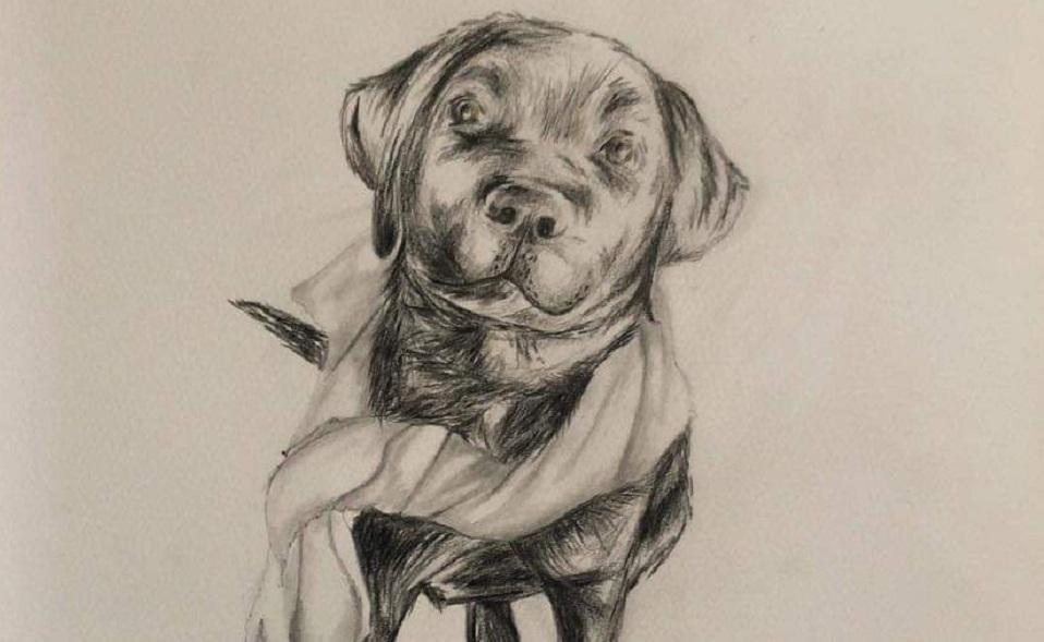 Pet Portrait drawing in Charcoal