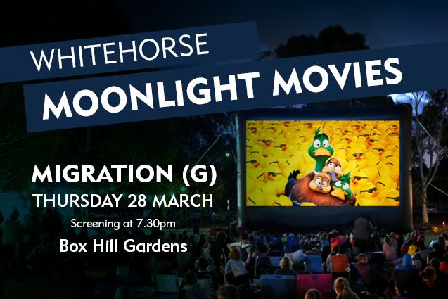 movie screen displaying cartoon ducks with text advertising the movie night 