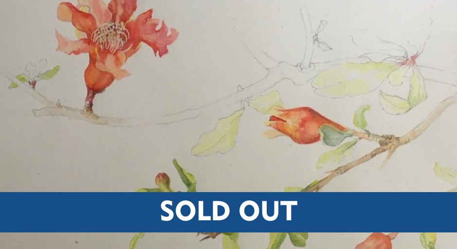 water colour painting of orange flowers with a sold out banner across the image