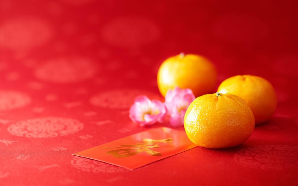 SHOP prepare_share_plant-base_cooking_chinese_new_year_celebration