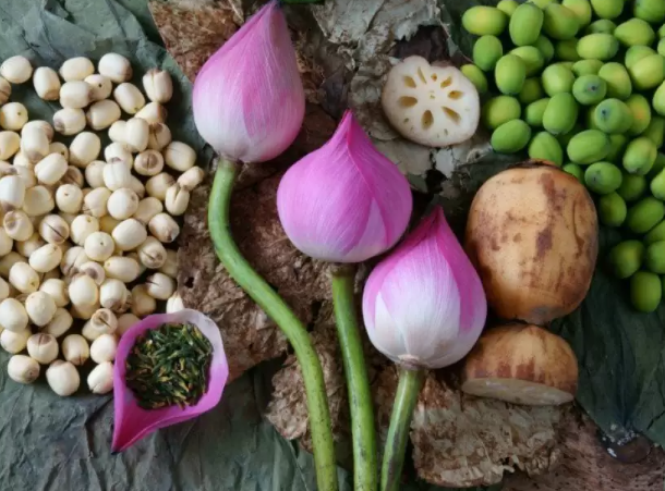 SHOP lotus plant-based cooking