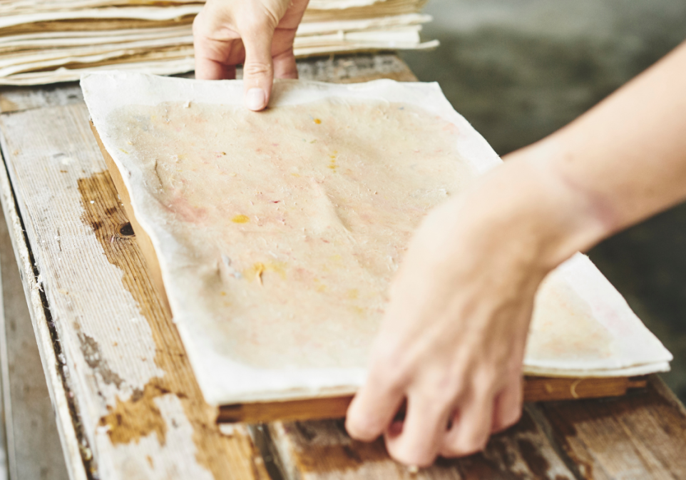 SHOP seed_paper_landscape