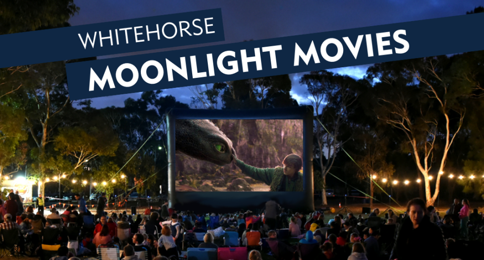 movie screen displaying boy touching black dragon's nose with text advertising the movie night 