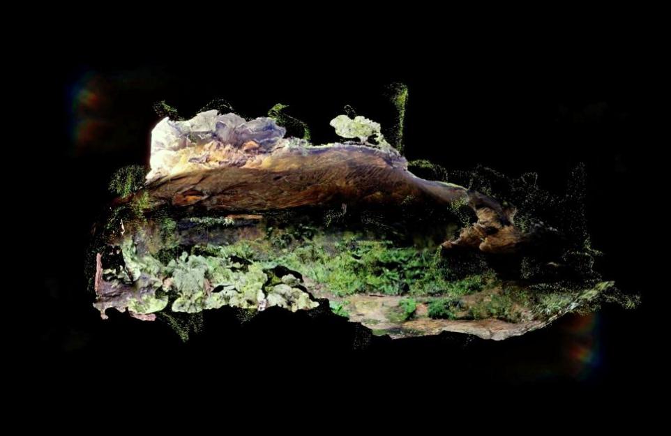 Still from a video depicting an artist created landscape.