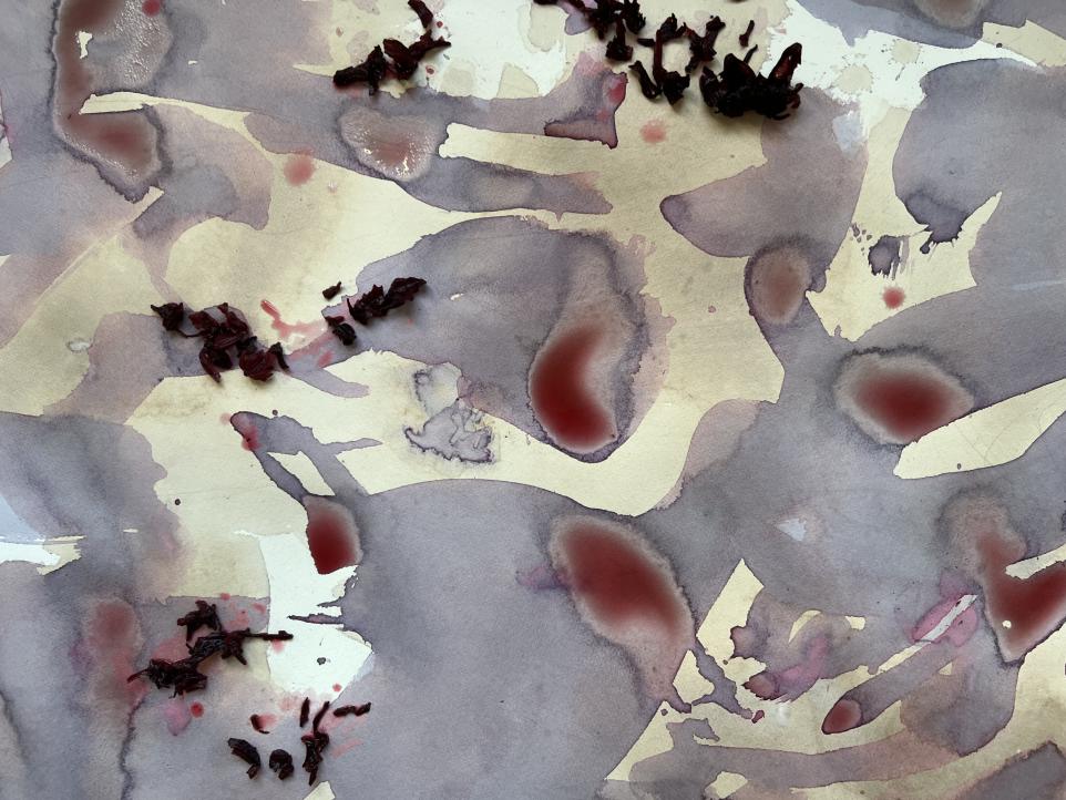 BHCAC Science Week Natural Pigment Laboratory