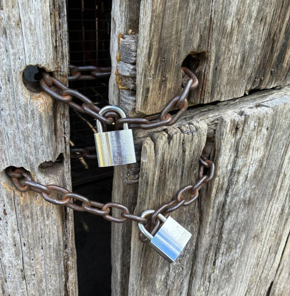 Close up of chains and locks on a wooden door.