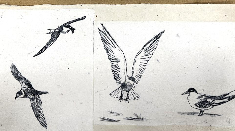 BHCAC Relief etching  - Intaglio and Lino