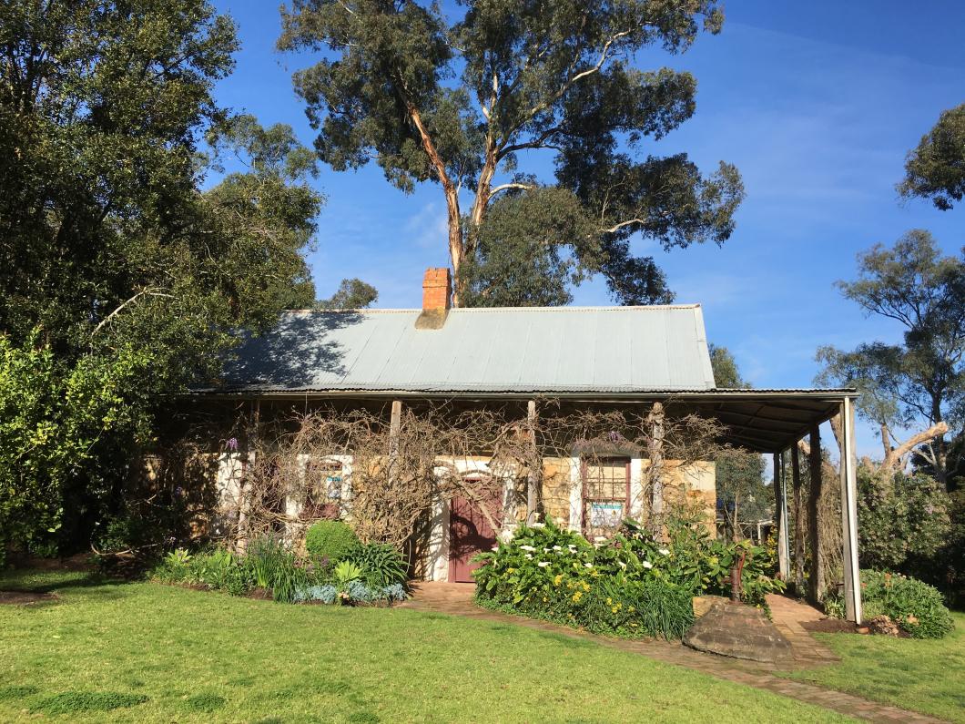 Schwerkolt pioneer cottage on a bright winter day with gum tree in the background.