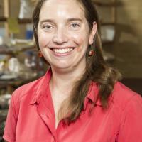 A lady with brown hair in a red shirt smiling at the camera