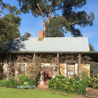 Pioneer cottage with gum tree in the background