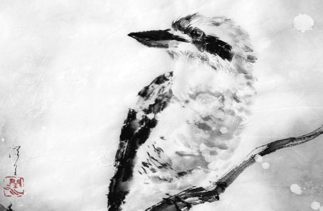 Kookaburra by Junko Azukawa