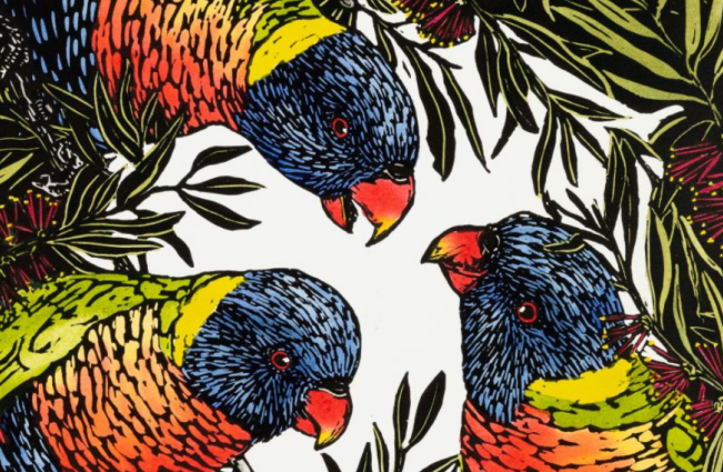Three rainbow lorikeets amongst bankisa flowers. 