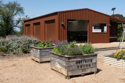 image of raised garden beds and a shed