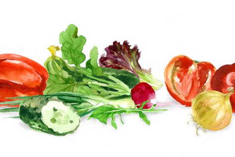 summer_vegetables_illustration