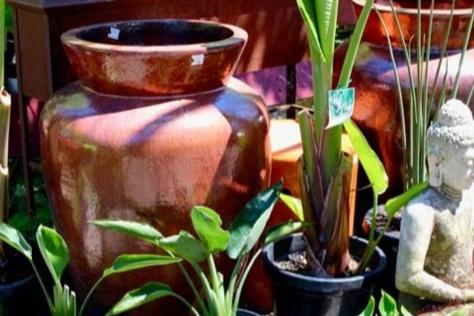 Garden pots and plant stems
