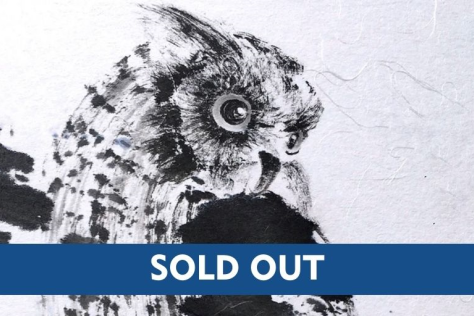 BHCAC Owl Sold Out
