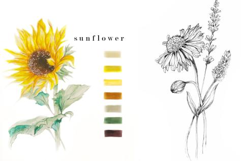 Sunflower illustration by Patricia Agus 