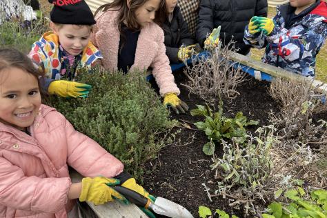 Children gardening at Strathdon House community Gardens