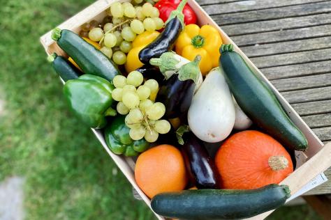 SHOP zero_waste_gardening