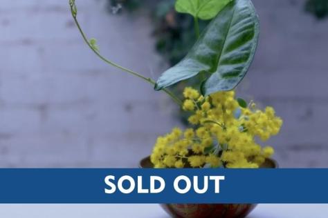 Sold Out Ikebana