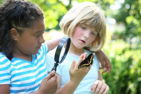Two girls looking at a butterfly with a magnifying glass