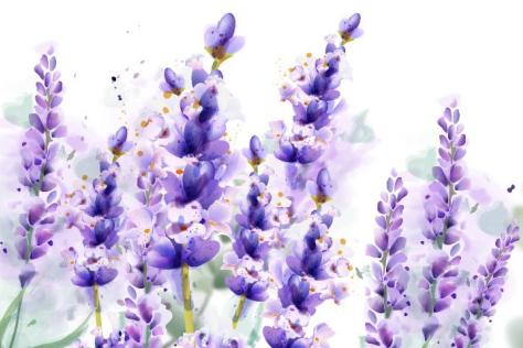 BHCAC watercolour flower spring