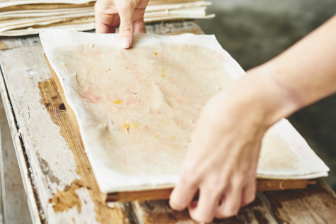 SHOP seed_paper_landscape