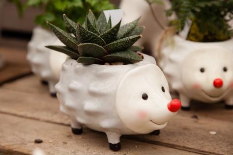BHCAC ceramic_hedgehog_planter