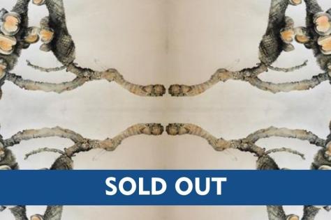BHCAC Sold Out Botanical Illustration