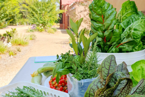 Image of a trestle table with fresh harvest from a kitchen garden with Strathdon House in the background