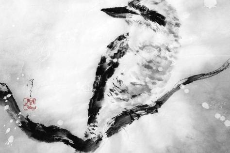 BHCAC kookaburra_junko_azukawa