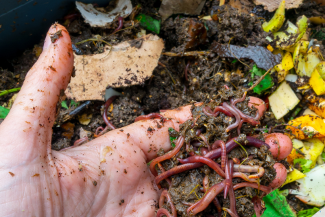 Composting made simple