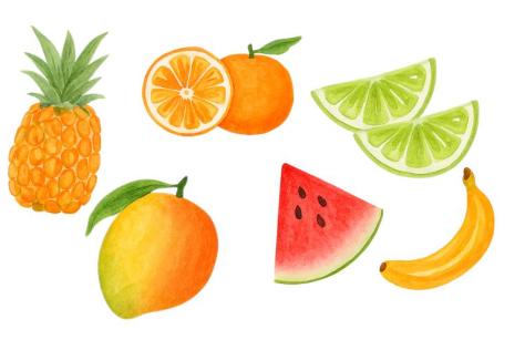 watercolour fruit illustration 