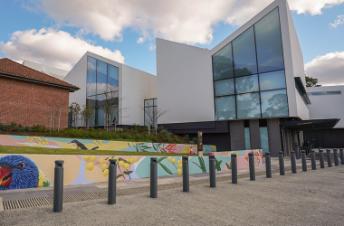 The Nunawading Community Hub's front exterior featuring colourful murals featuring local flora and fauna  