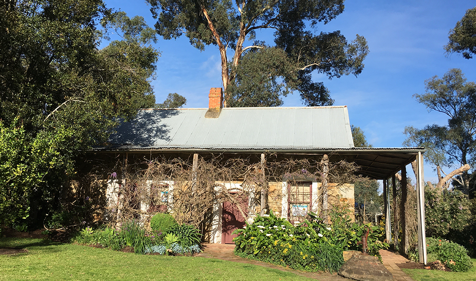 Pioneer cottage with gum tree in the background