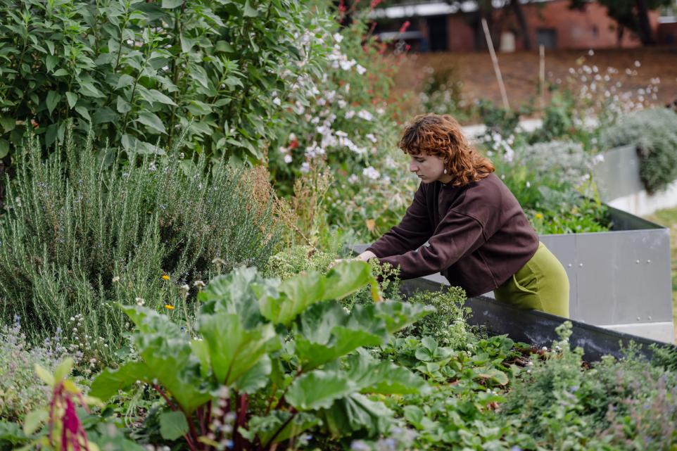 Community Garden