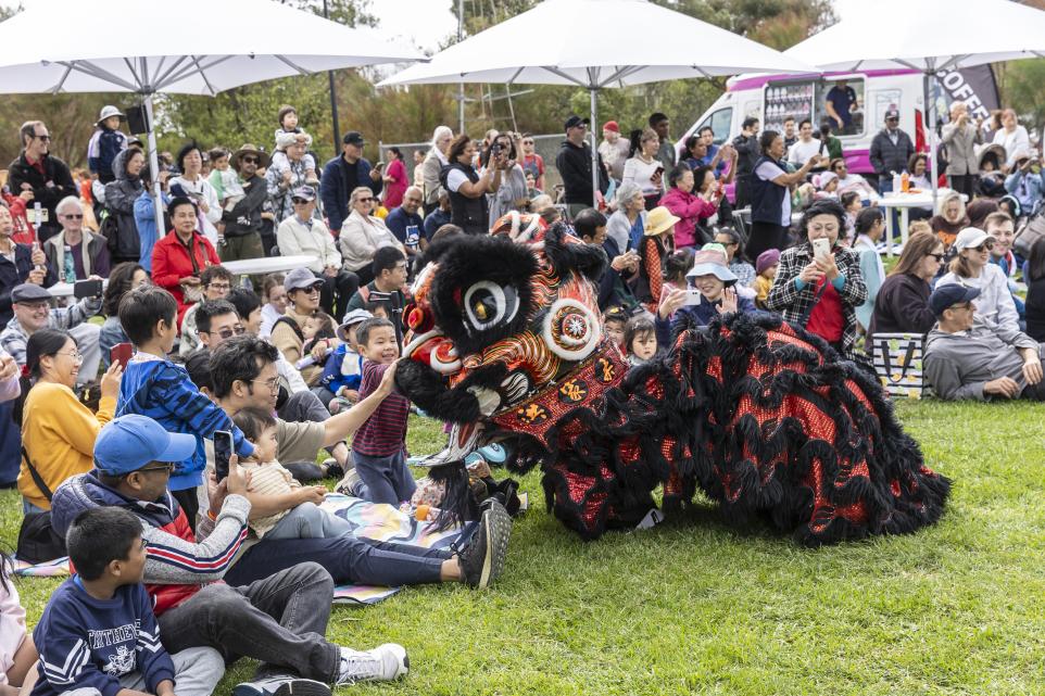 Culture Fest